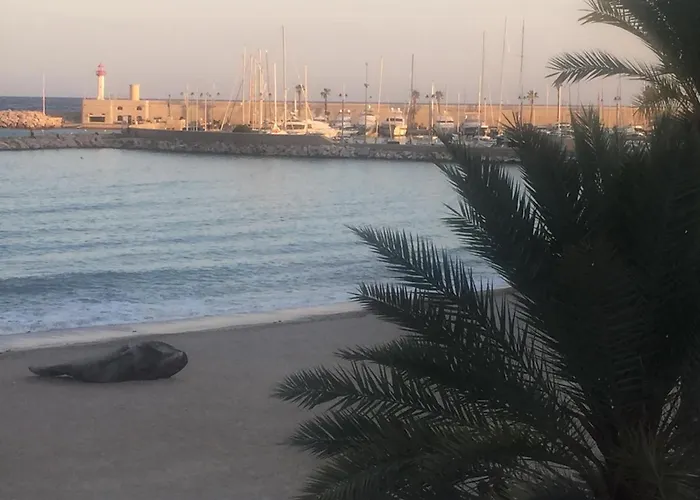 Lejlighed Loft Prestigioso Nel Centro Di Sanremo